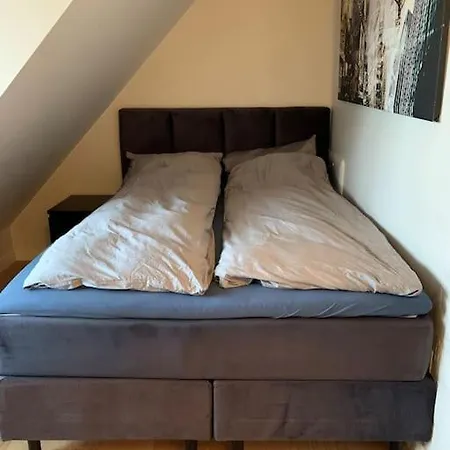 公寓 Modern 3-room Floor 奥斯陆